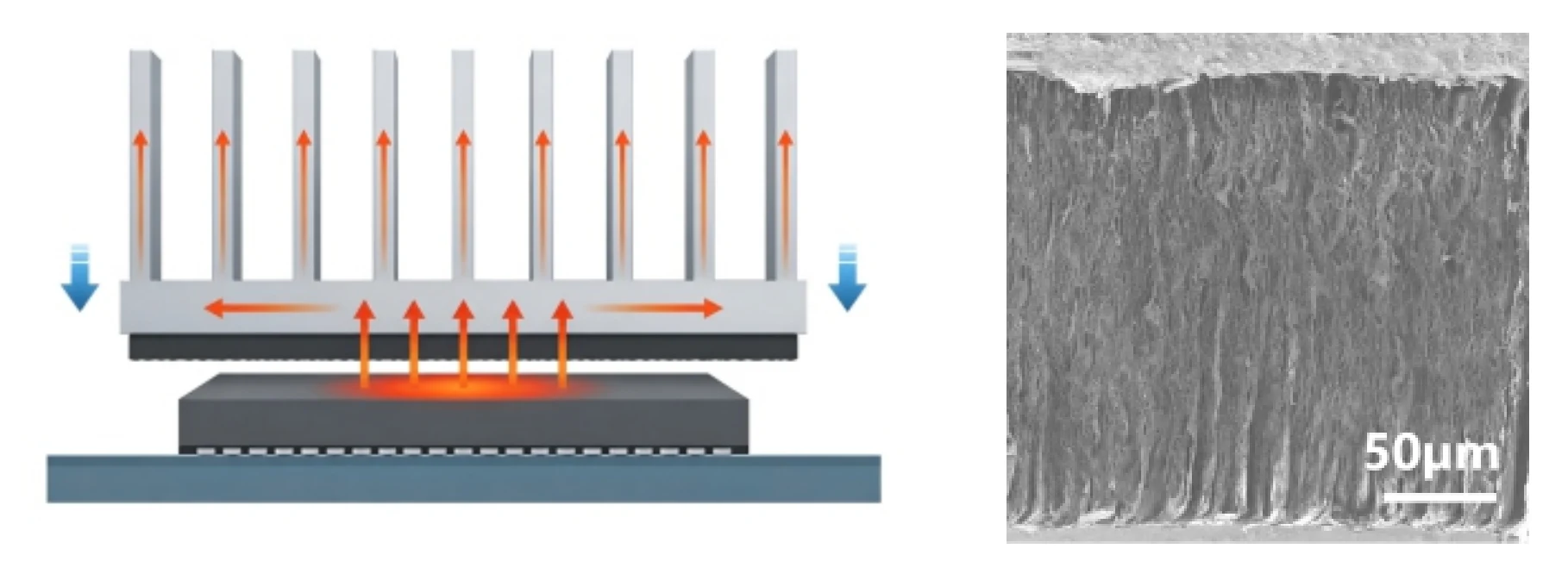 Two-panel evidence: left shows a heat-sink diagram with red arrows depicting heat flowing from chip through Lenecold thermal pad into aluminum fins; right shows an SEM cross-section of vertically-aligned graphene at 50-micrometer scale.